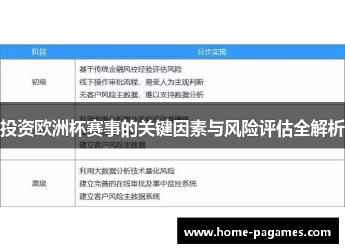 投资欧洲杯赛事的关键因素与风险评估全解析 投资欧洲杯赛事的关键因素与风险评估全解析