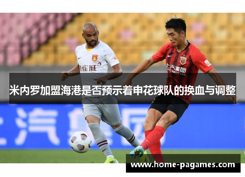 米内罗加盟海港是否预示着申花球队的换血与调整 米内罗加盟海港是否预示着申花球队的换血与调整