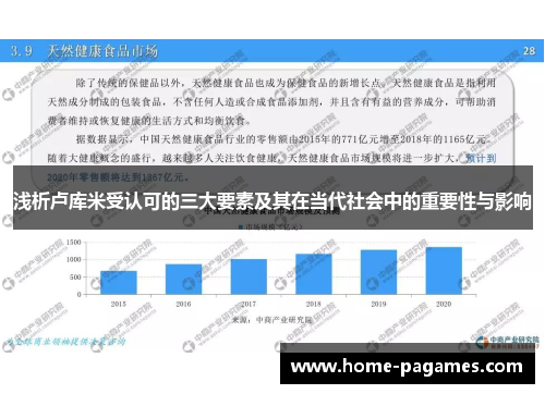 浅析卢库米受认可的三大要素及其在当代社会中的重要性与影响 浅析卢库米受认可的三大要素及其在当代社会中的重要性与影响