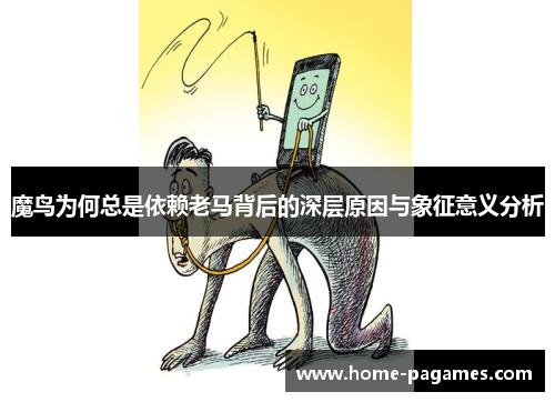 魔鸟为何总是依赖老马背后的深层原因与象征意义分析