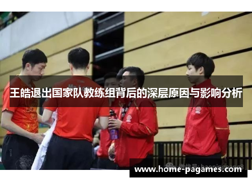 王皓退出国家队教练组背后的深层原因与影响分析