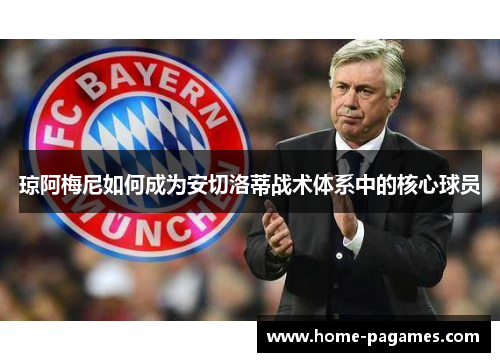 琼阿梅尼如何成为安切洛蒂战术体系中的核心球员