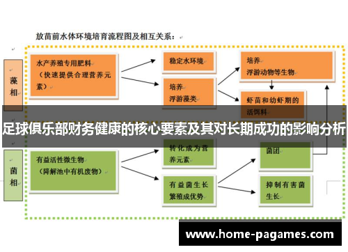足球俱乐部财务健康的核心要素及其对长期成功的影响分析